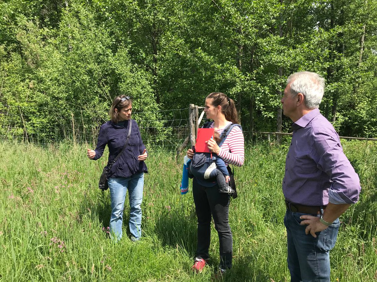 Krawallstein's tweet photo. #ZuhörTour Tag 24 (Spremberg)

Dieser Tag führte mich durch den Urwald meines Wahlkreises und ich habe wieder vieles über die Natur und den Zustand unserer Spree erfahren. Über diese wurde ich dann später auch noch ein bisschen gestakt.

#NeueEnergie #IchSagMaJa https://t.co/vYqNexVDmh