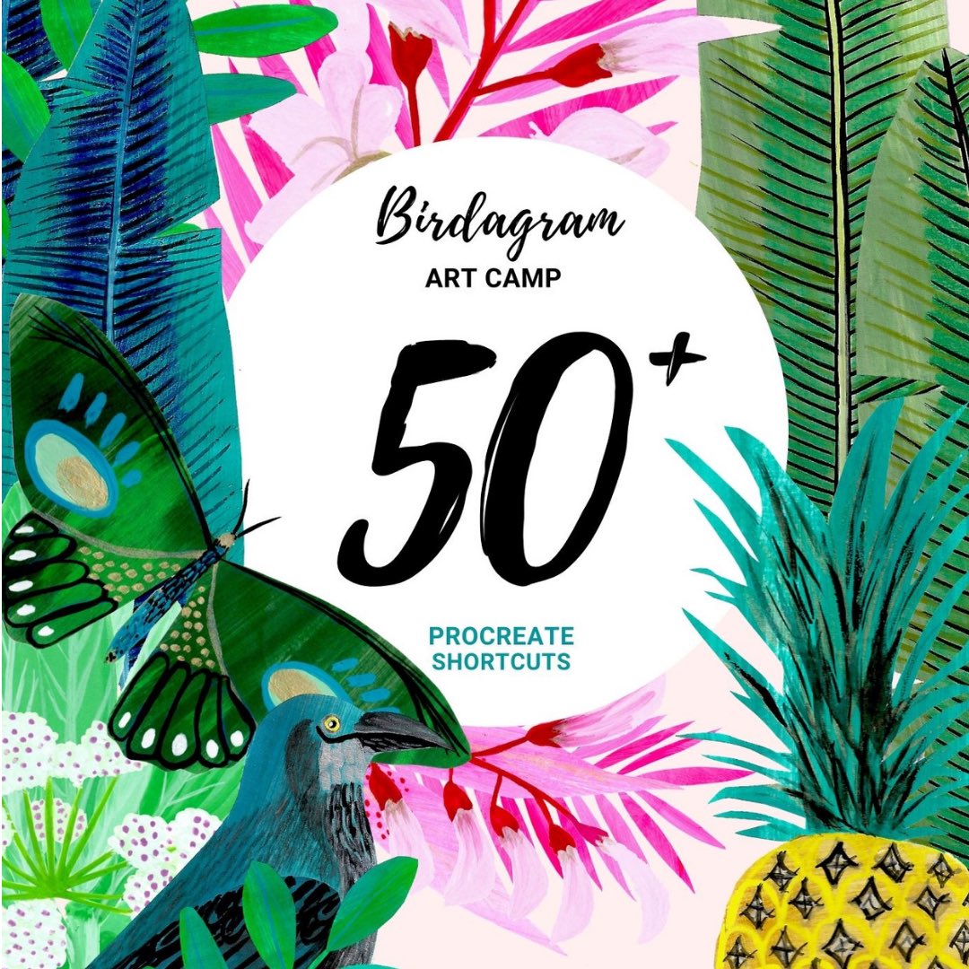 birdagram's tweet image. mailchi.mp/3d5f119e7a28/p… Sign up and get a free Procreate Shortcuts workbook PDF plus twice monthly news and giveaways