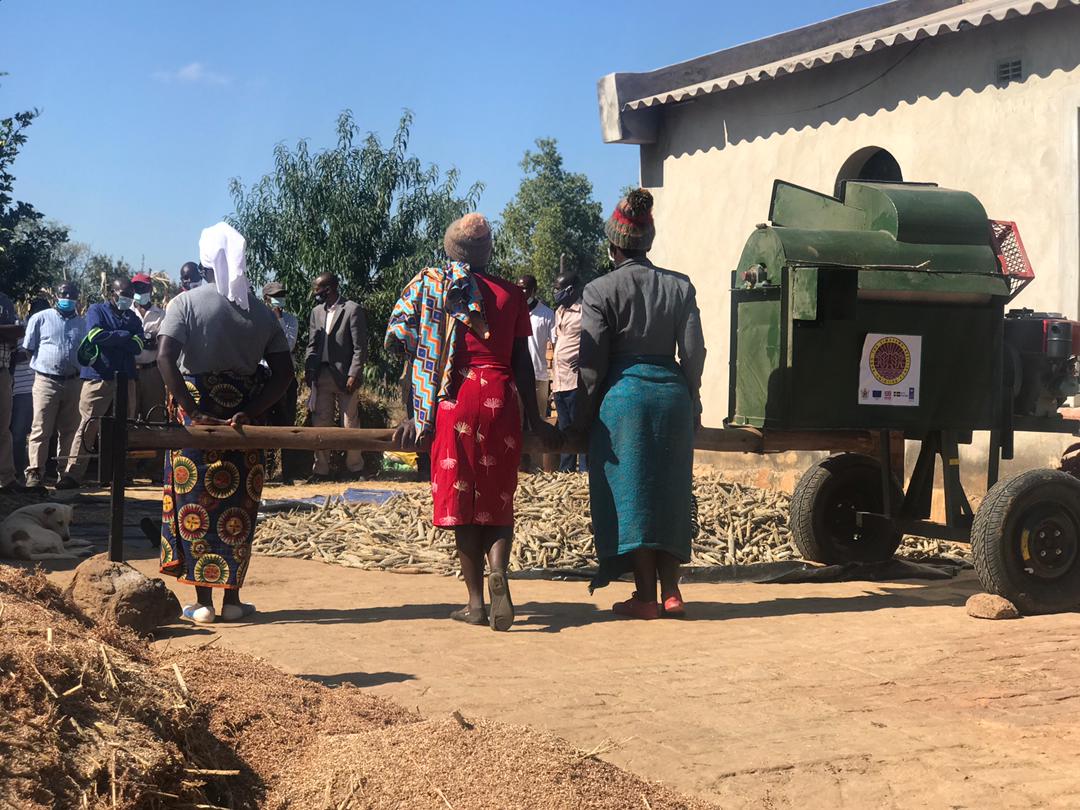 ZRBF-BRACT agro-business enterprise has supported traditional grains, farmers, with a mobile grain threshing machine that facilitates effective post-harvest handling. One of the farmers William Garufu from Mudzi is anticipating harvesting 8 tonnes of sorghum planted on 5 hectares
