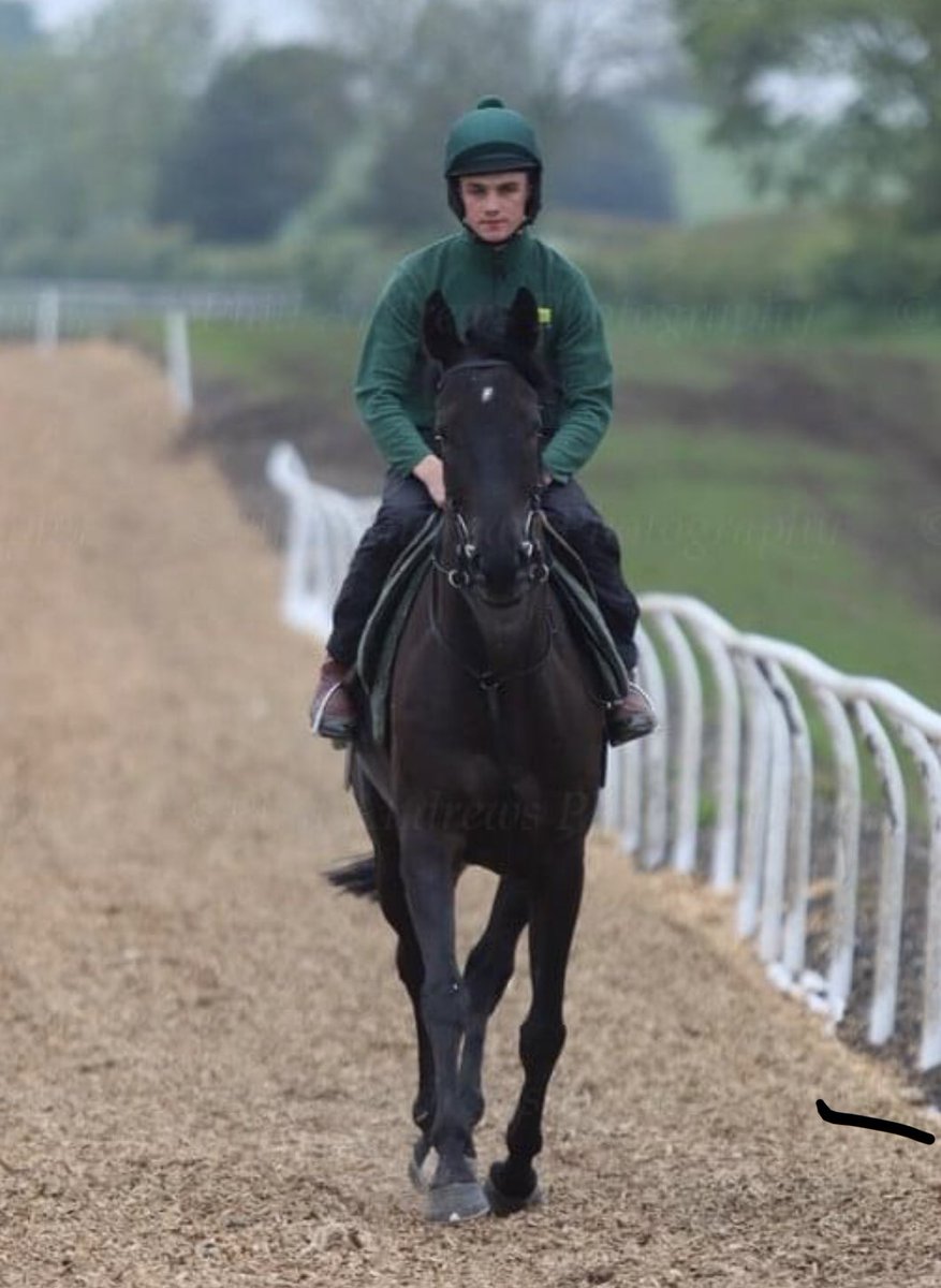 RacingRedcap's tweet photo. Good luck to Coco Abington Park who is declared to run ⁦@MarketRasenRace⁩ tomorrow ⁦@PKirbyRacing⁩ ⁦@RacingRedcap⁩ https://t.co/MrhW0IY4ia