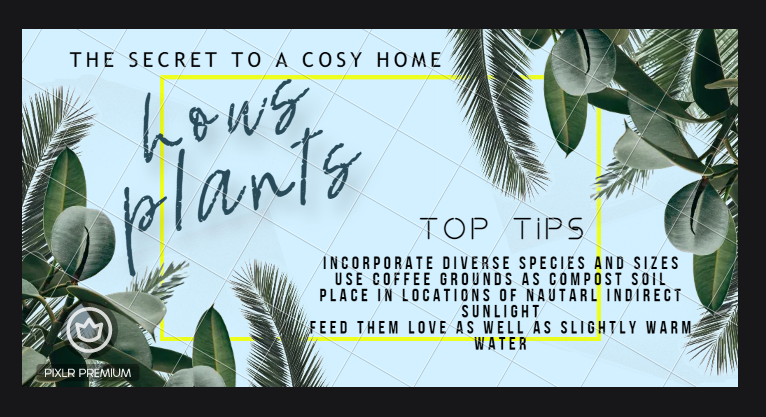 Trev_PI's tweet photo. #interiordesigner #plants #homevibes #cosyaf #newhometips https://t.co/aNr5xWes8S