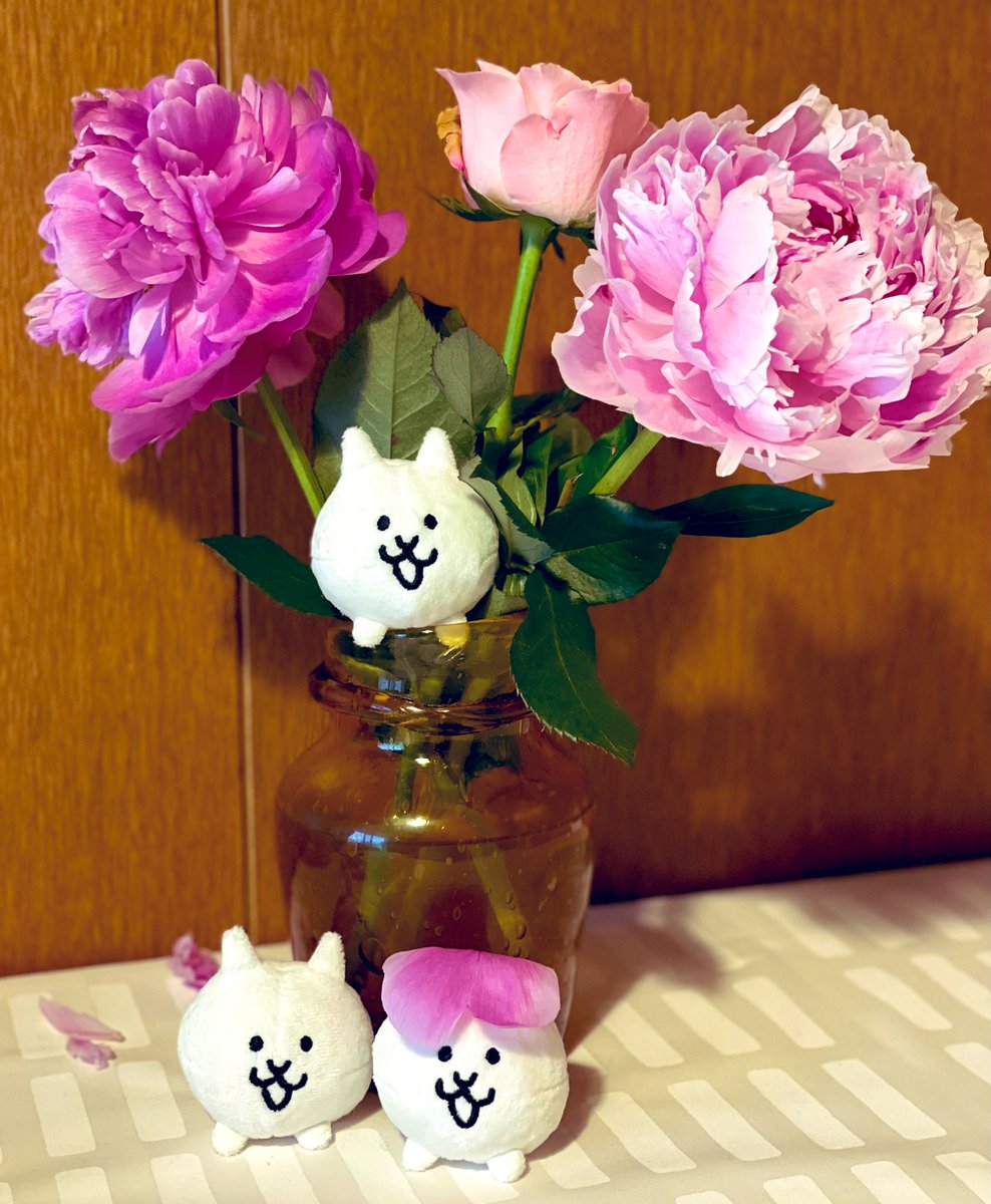 ワッツさん ありがとうございます 芍薬の花大好きなんです 家に花があると良いですよね