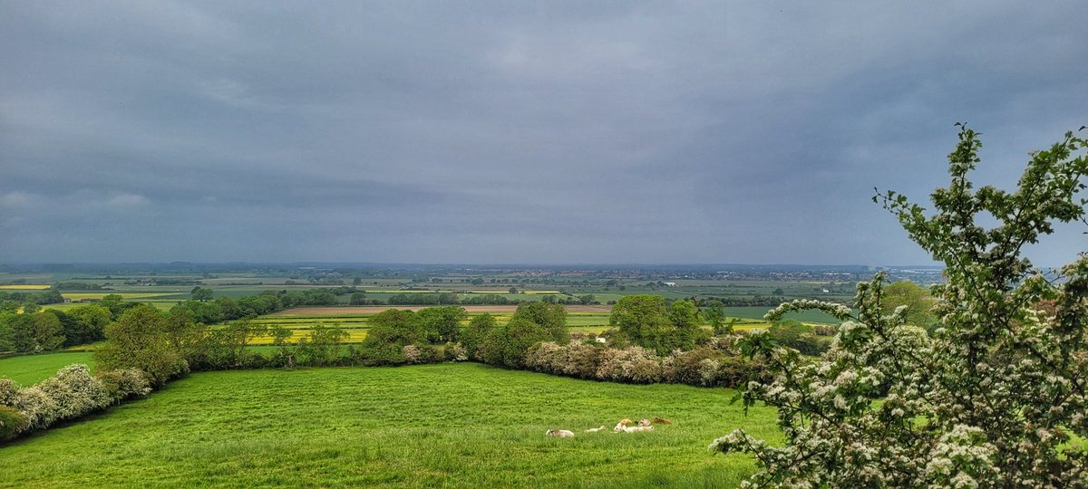 Sun, where have you gone? 

#Lincolnshire #Weather #Walks #LincolnshireSkies #LincolnshireWalks