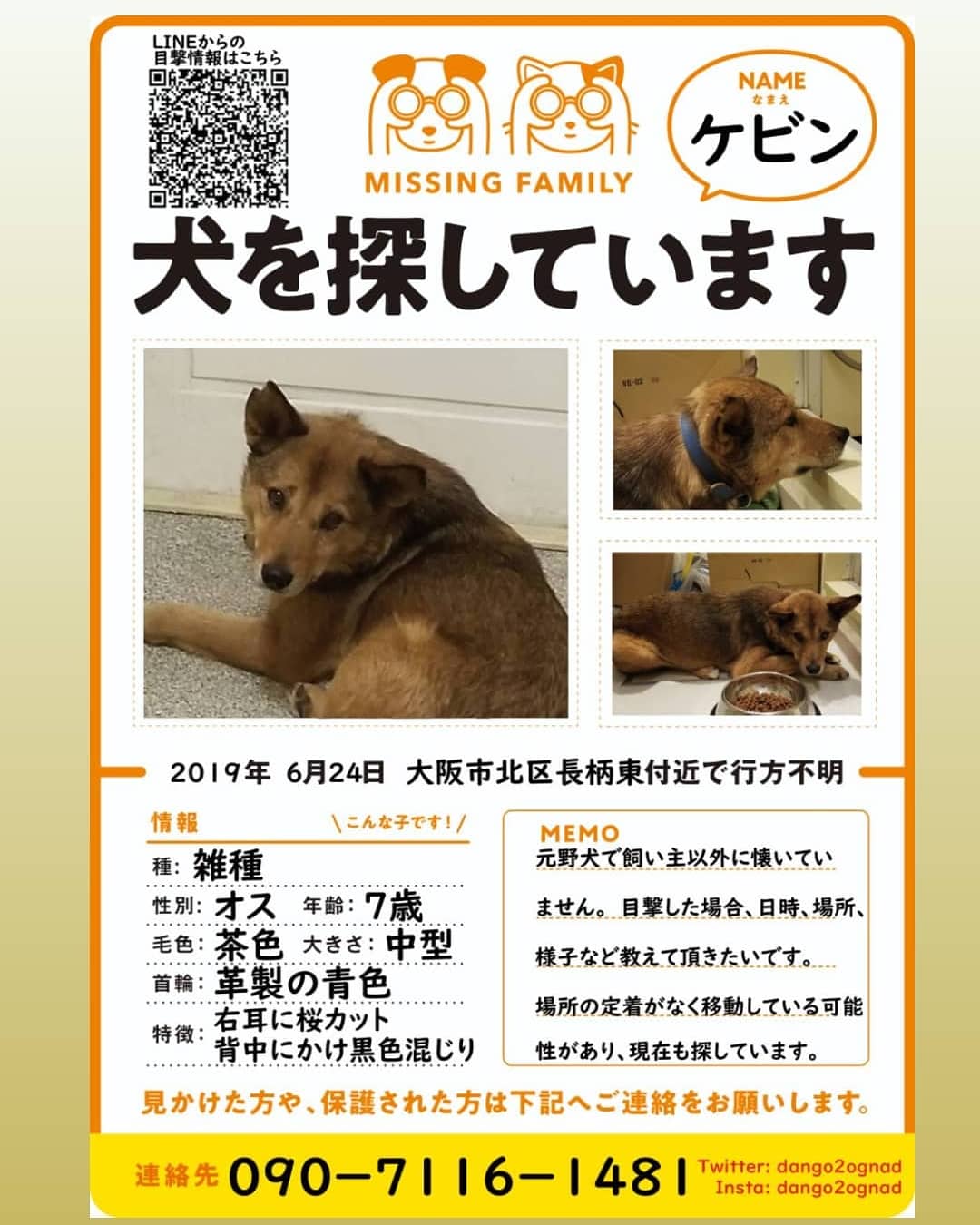 だんご 迷子犬ケビン捜索中 ２０１９年６月に大阪市自宅から迷子になり 関西 中国地方で 迷子犬 をさがしています 中型犬 60cm 60cm kg オス 雑種 全体が茶で背中は黒混じり 革製の青色の首輪 右耳にさくらカット 元野犬で怖がりですが
