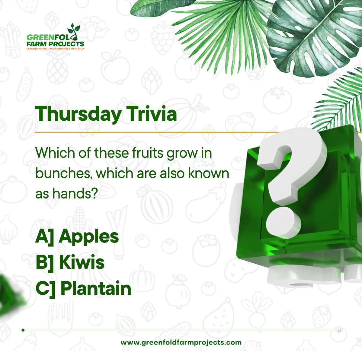 Greenfoldfarm's tweet photo. Its Thursday trivia!🤓

Which of these fruits grow in bunches, which are also known as hands?

#investment
#veggies
#vegetable
#foodie
#farminvestment
#investment
#agric
#invest
#agriculturalinvestment
#agrotech
#motivation
#lagosfarms
#foodie 
#june
#greenfoldfarm https://t.co/9XOflYxAkF