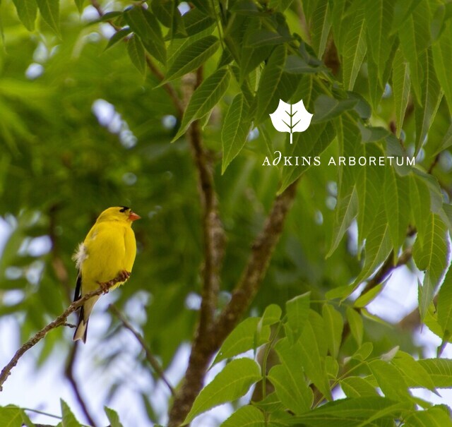 Fall events return! Plus, Nature Notes, our new website, and more news conta.cc/34KGLlM