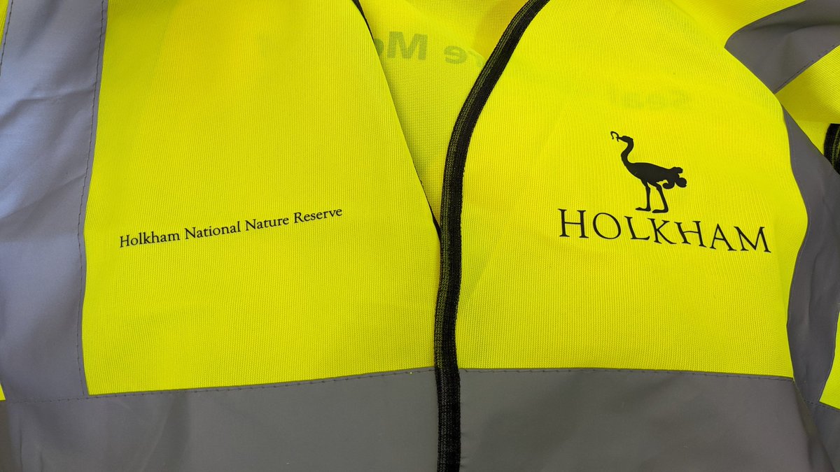 BirdBeards's tweet photo. Our #volunteer Seal Welfare Monitors are starting their work on Wells Beach today. They'll be keeping an eye on the #Seal Cordon &amp; 'haul-out' &amp; will have lots of seal facts to share with visitors. Please say 'hello'! @HolkhamEstate #NNR #ProtectRespect #VolunteersWeek https://t.co/GrXT1jPvDz