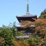 宿 “yadori”のツイート画像