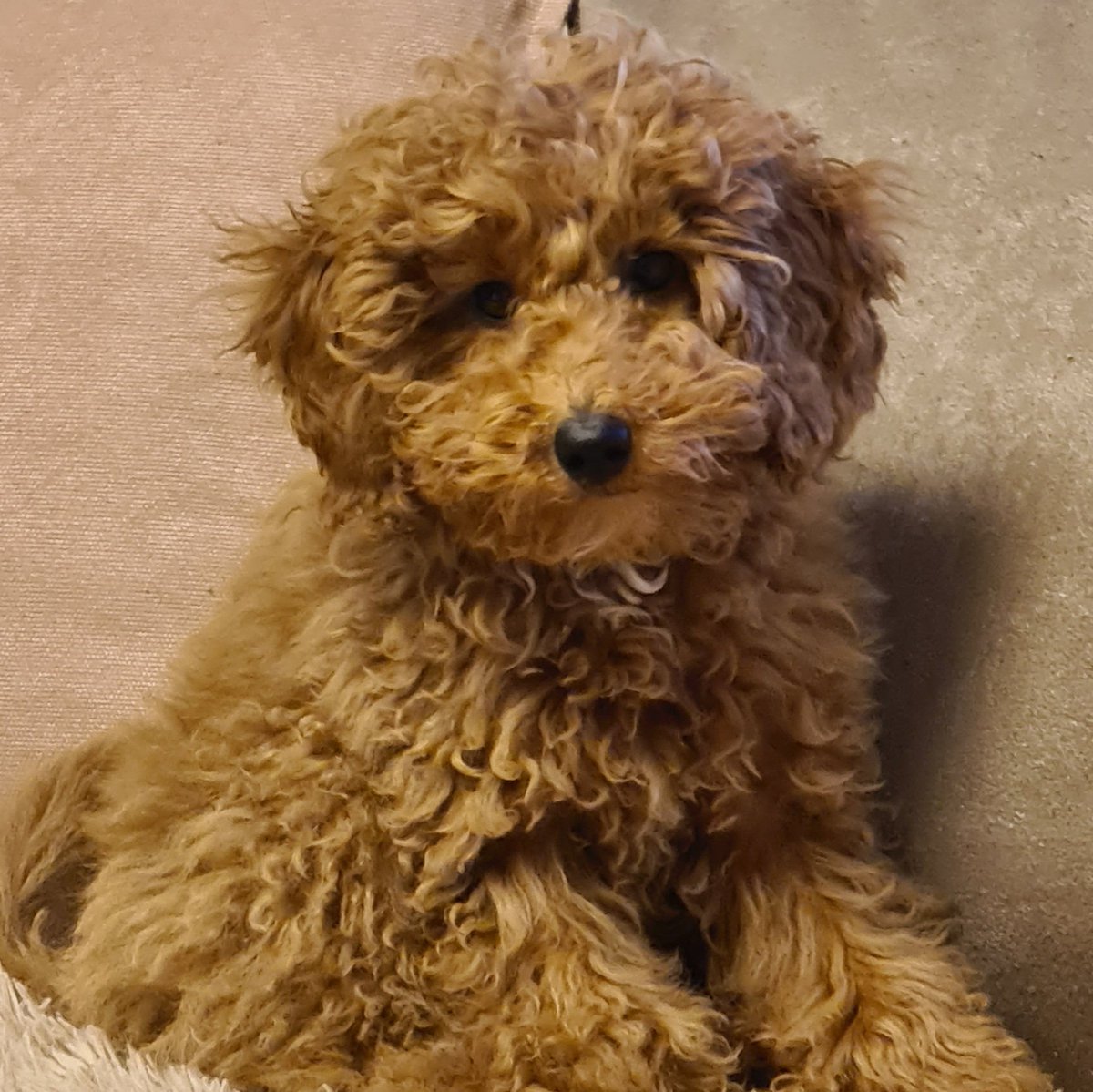 #NewProfilePic