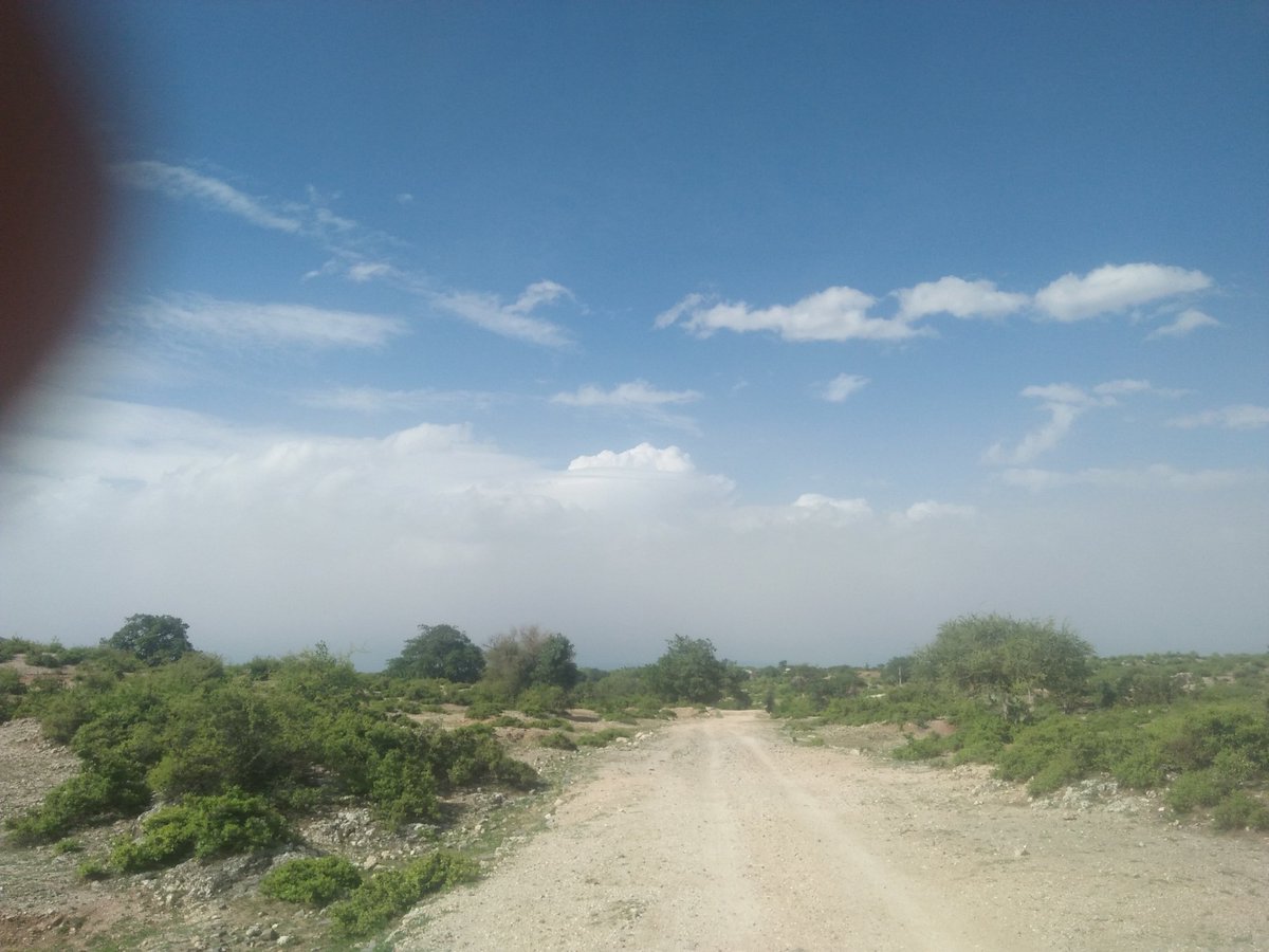 rakeshhh73's tweet photo. #gaav💕 #nature https://t.co/bmUNQvVFWd