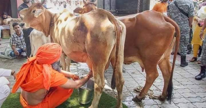 #CowMilkParty 
#WorldMilkDay 
#Enjoy_cow_millk
Health Benefits of Cow Milk
Rich in Vitamin D
Prevents Diabetes
Cow milk Good for Heart Health
Cow milk Best for both children and older people as it is easy to digest
Helps in building stronger bones and teeth
Helps in weight loss