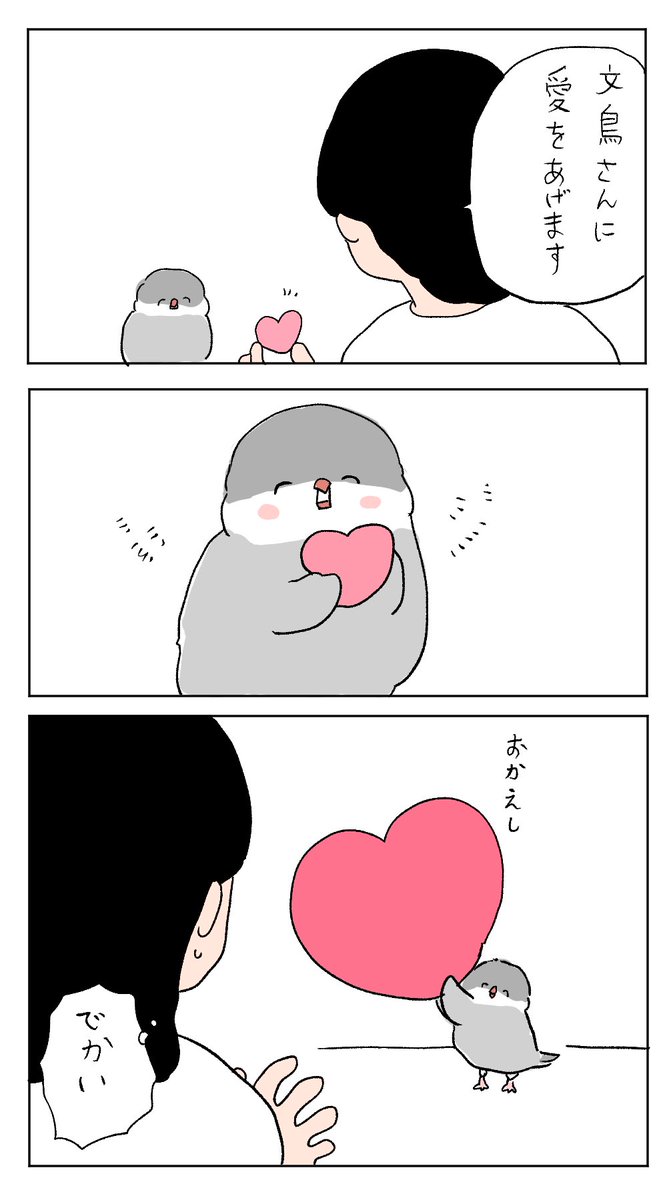 文鳥さんからもらえるものが多すぎる 