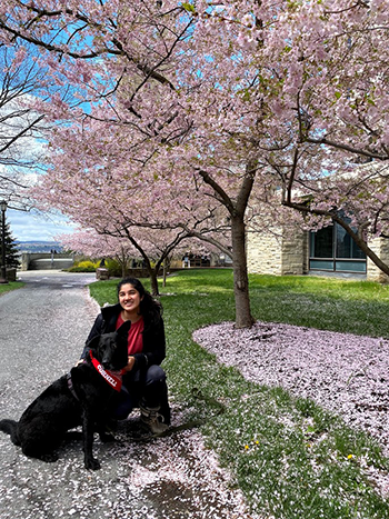 Cornell Biomedical Engineering tweet media