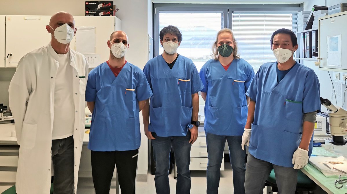 ICGEB's tweet photo. #INCardio project updates. Funded by the ERDF and @Interreg_eu V-A Italy-Austria: #ICGEB - #MUI joint experiments have started to find innovative therapies for cardiovascular disorders. Read more about this project on the dedicated Web site at: https://t.co/gwrijUn2QU https://t.co/hm0004byoC