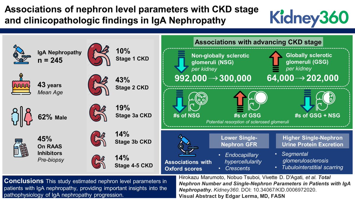May Highlights: Total Nephron Number and Single-Nephron Parameters in Patients with IgA Nephropathy

This study estimates total nephron number and related single-nephron parameters in patients with IgA nephropathy bit.ly/KID0006972020

Visual Abstract by <a href="/edgarvlermamd/">Edgar V. Lerma 🇵🇭</a>