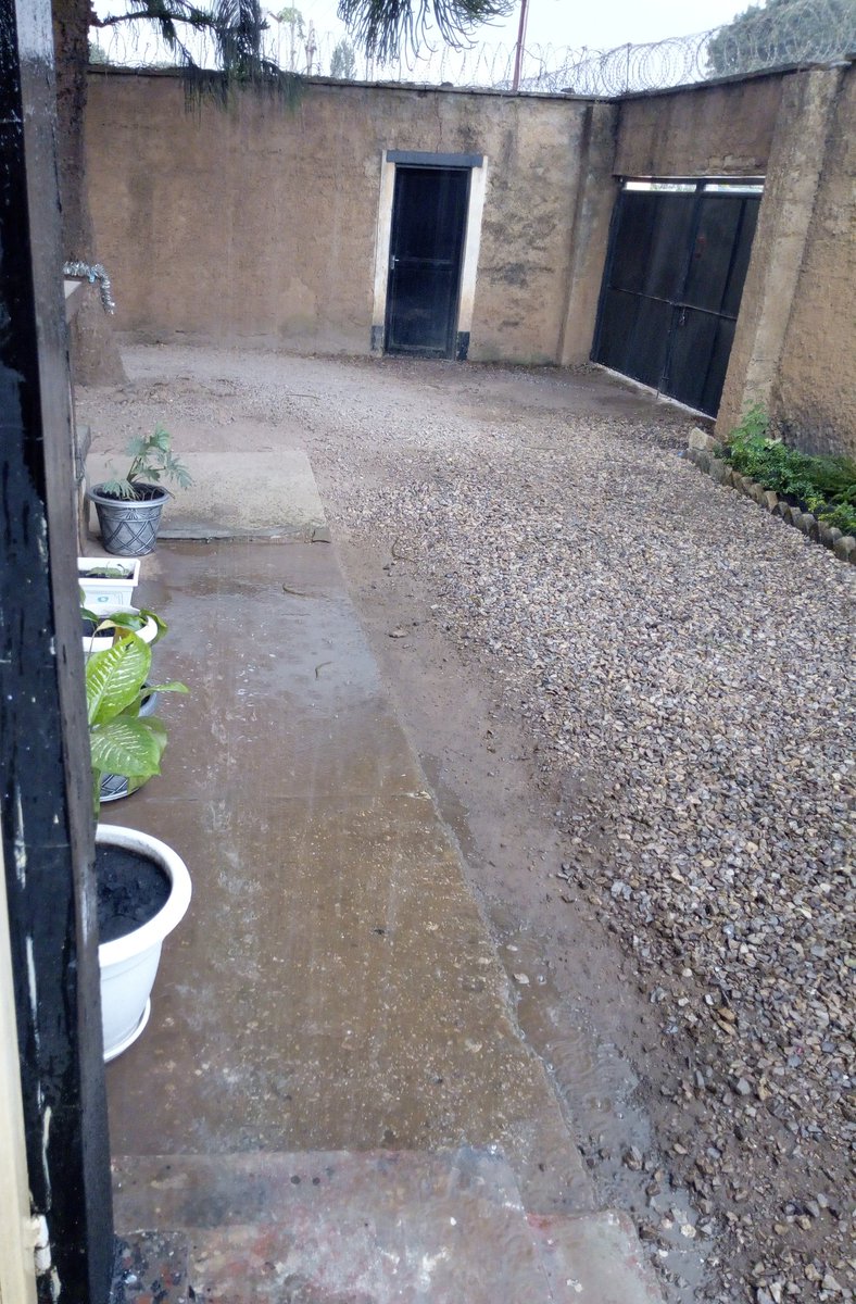 Phénomène rare , la ville de #Kowezi arrosée par la pluie de juin 
#ClimateChange 
#WorldEnvironmentDay