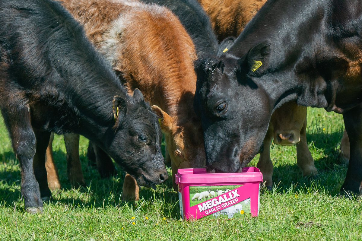 Scotmin Nutrition tweet media