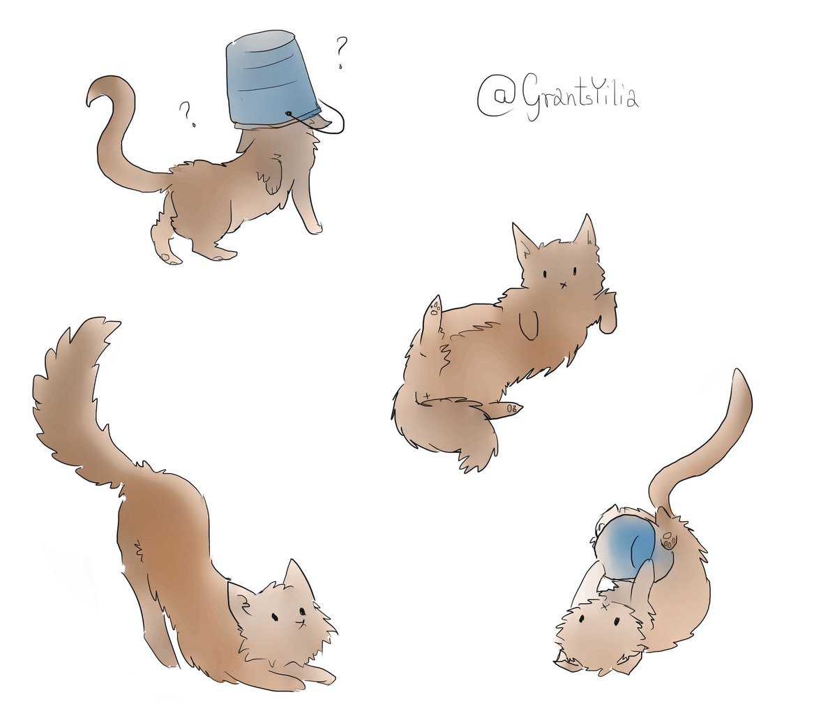 GrantsYilia's tweet photo. Friend's neighbour has cute cats, so... https://t.co/mWqZGSudHl