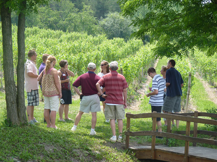 KeukaSpringVineyards tweet media