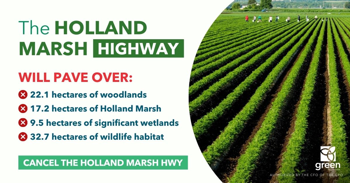 OntarioGreens's tweet image. In addition to damaging our environment, the #HollandMarsh Highway will also further threaten Lake Simcoe and pump more toxic emissions into the air. 

👇  Simply put, this hwy is a bad idea. #onpoli #BradfordBypass