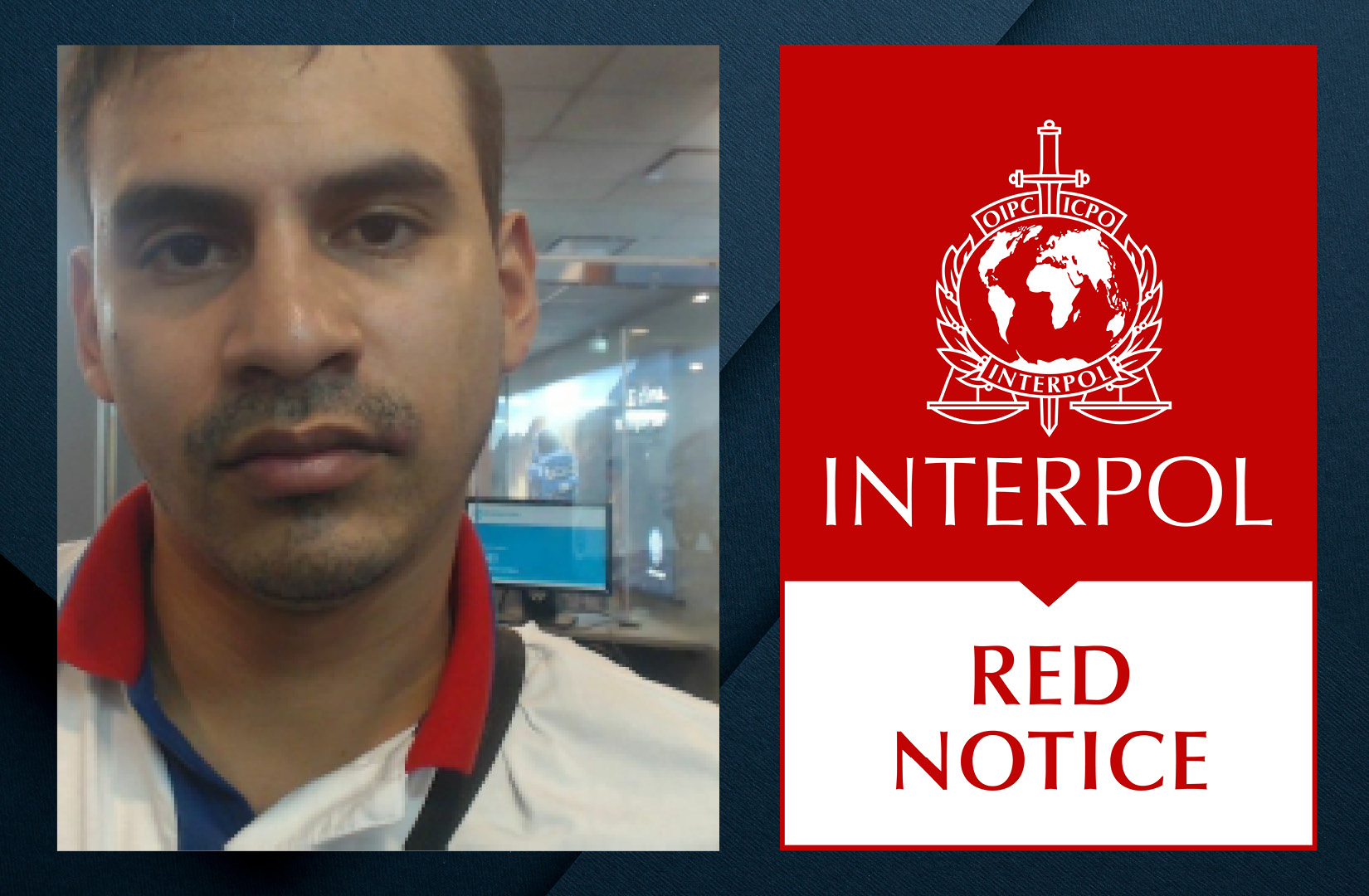 Interpol notices. Интерпол Red Notice. Interpol Notice. Interpol wanted. Пол Бэнкс Интерпол.