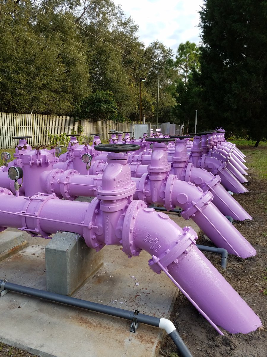 Thursday pick me up for #waterpeople #PURPLEPOWER 
Photo Courtesy of @PinellasCoNews <a href="/FWEA75/">FWEA</a> <a href="/SWFWMD/">Southwest Fl Water</a>
