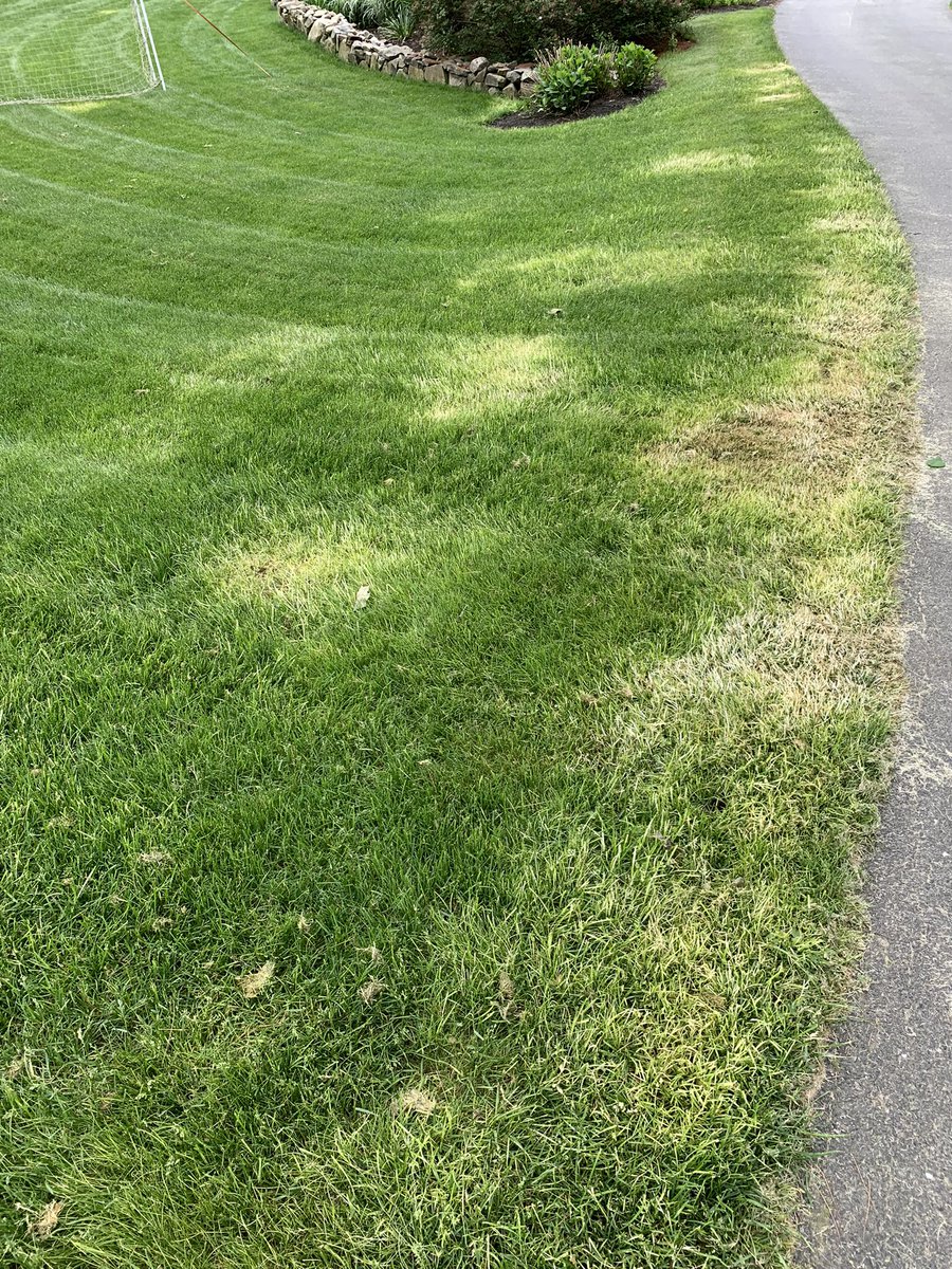 jeff_urquhart's tweet photo. Evidently Torocity (Mesotrione) does what the label saysโฆ? #gotbent? https://t.co/V1KLTVyiqT