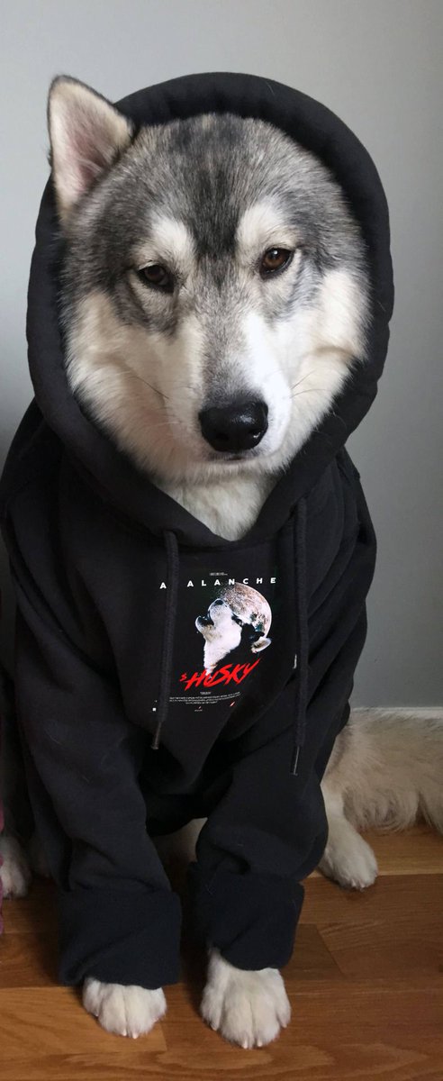 Thank you to everyone that participated!
The waiting list is now over and we are processing the entries. We will be sending the forms to the participants tomorrow to be able to purchase  the Hoodie
#NFT #HUSKYAVAX $AVAX $HUSKY