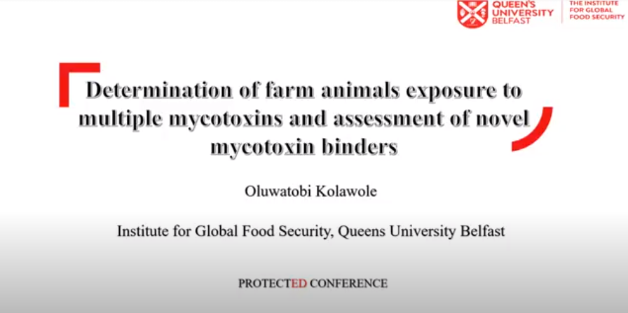 PROTECTED ITN tweet media