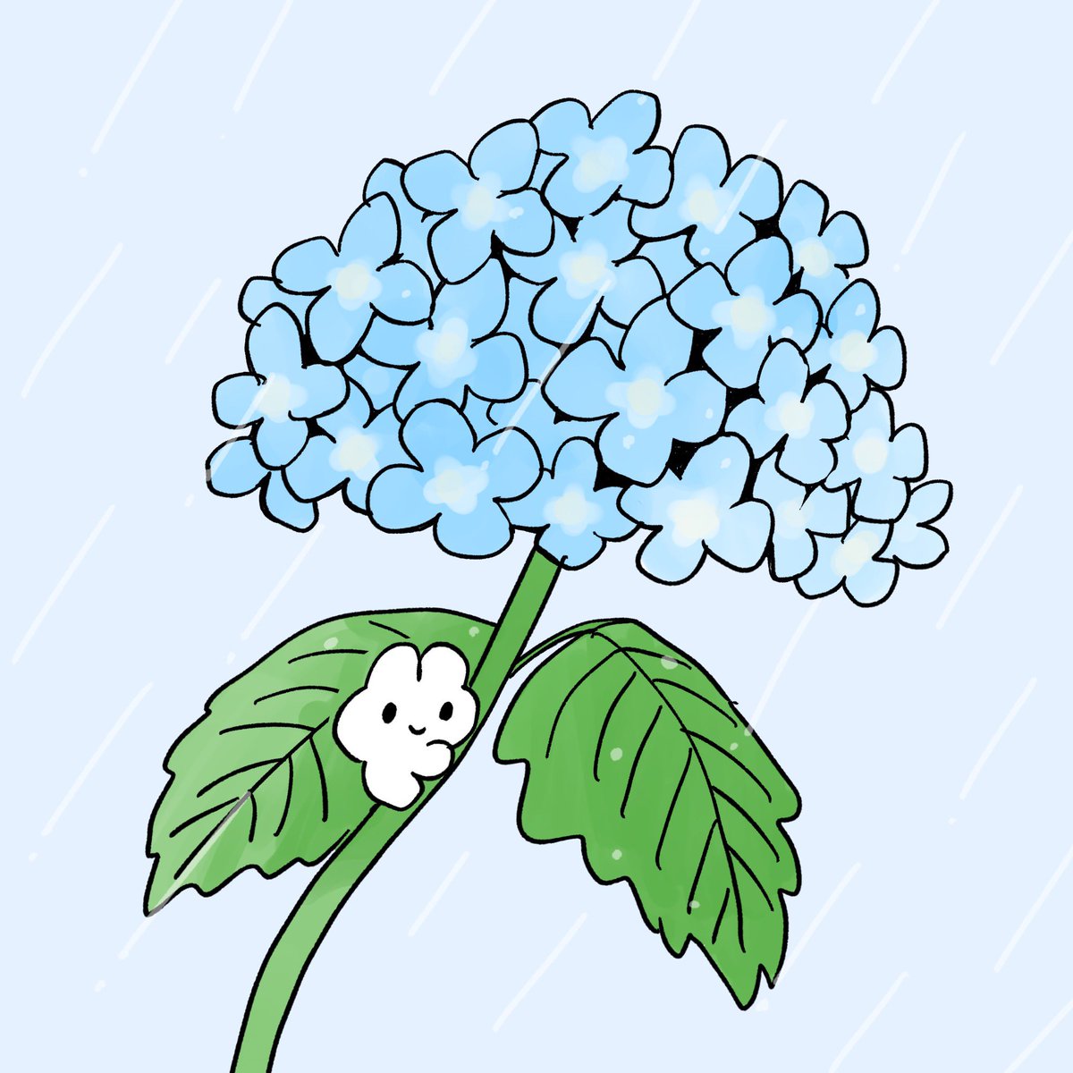 hydrangea no humans flower rain leaf rabbit blue flower  illustration images
