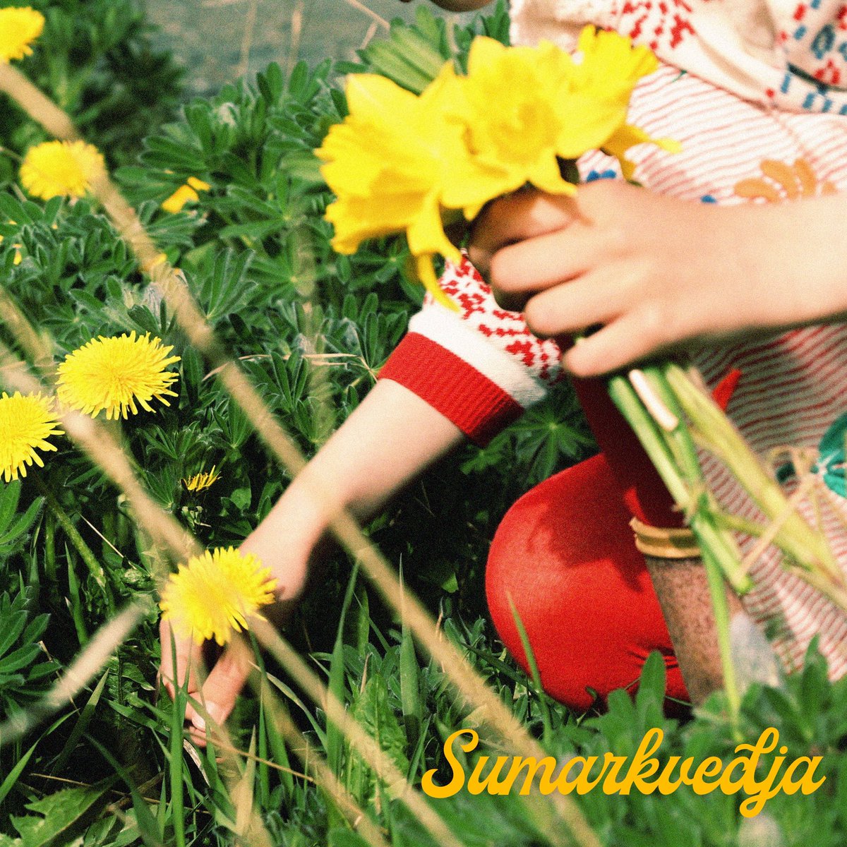 Útgáfudagur 11.júní #hafdishuld #sumarkveðja #vögguvísur