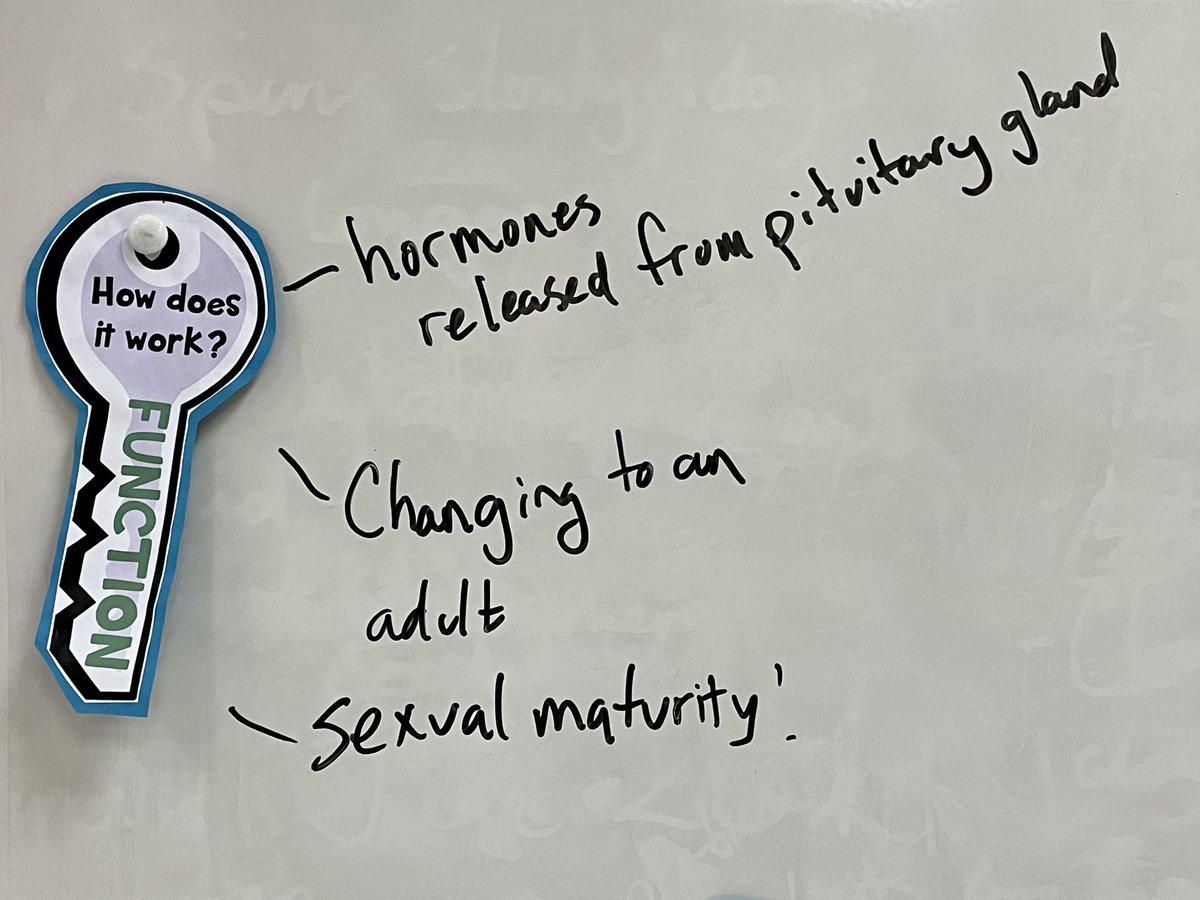 paulabaxter67's tweet image. 1/2 the internet goes down as ⁦@araalihma⁩ is about to launch a research session around #puberty. Quick change of gear &amp;amp; the focus shifts to the key concepts &amp;amp; amazing insights followed ⁦@TASOKinshasa⁩!