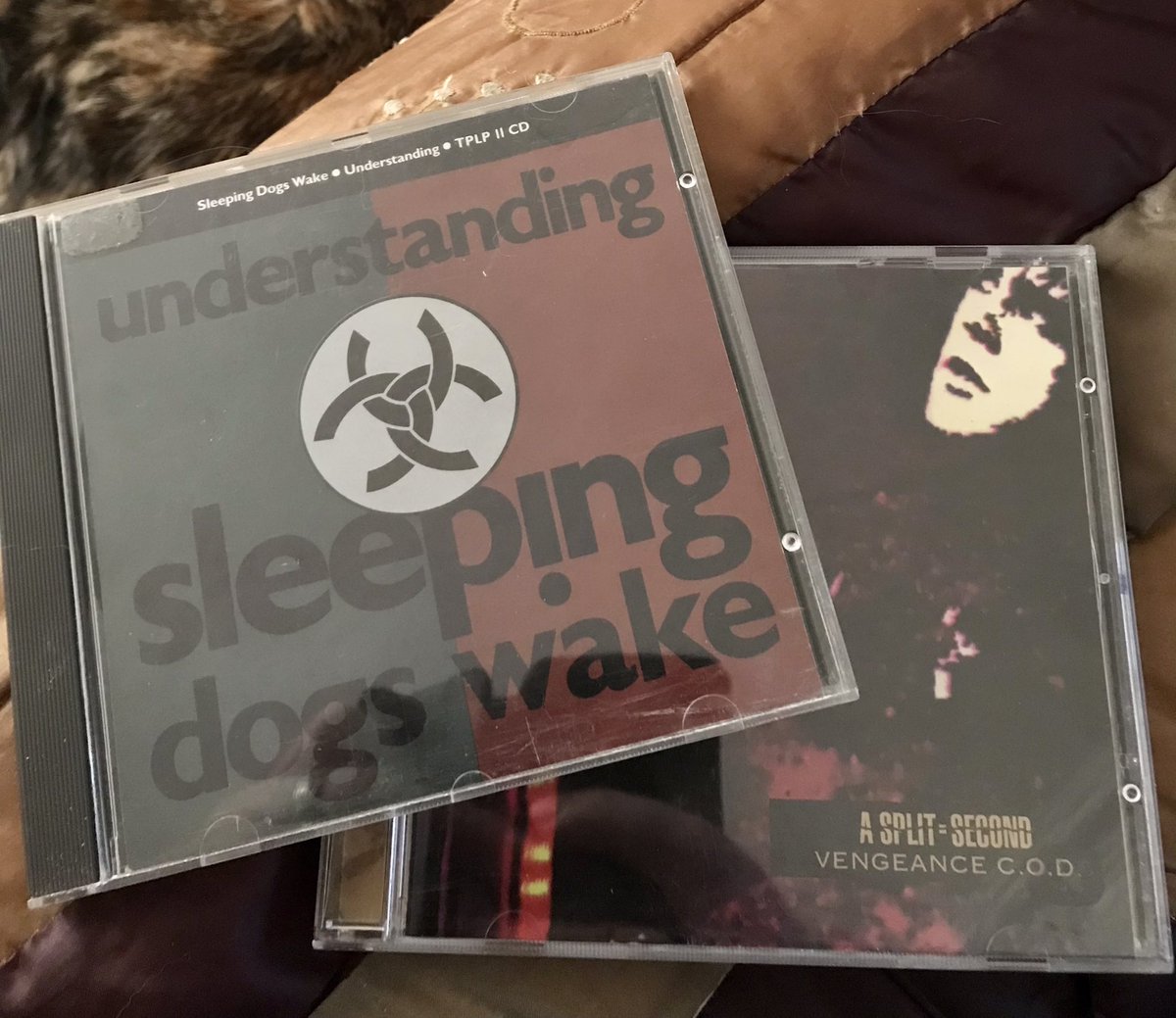 epidemic27's tweet image. Two pretty ancient CDs missing from my collection came today. #SleepingDogsWake #ASplitSecond