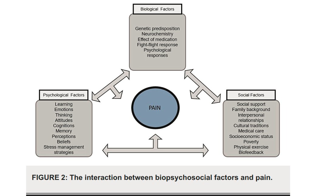 A Biopsychosocial Model-Based Clinical Approach in Myofascial Pain Syndrome: A Narrative Review

👀👀👇👇‼️

cureus.com/articles/57388…