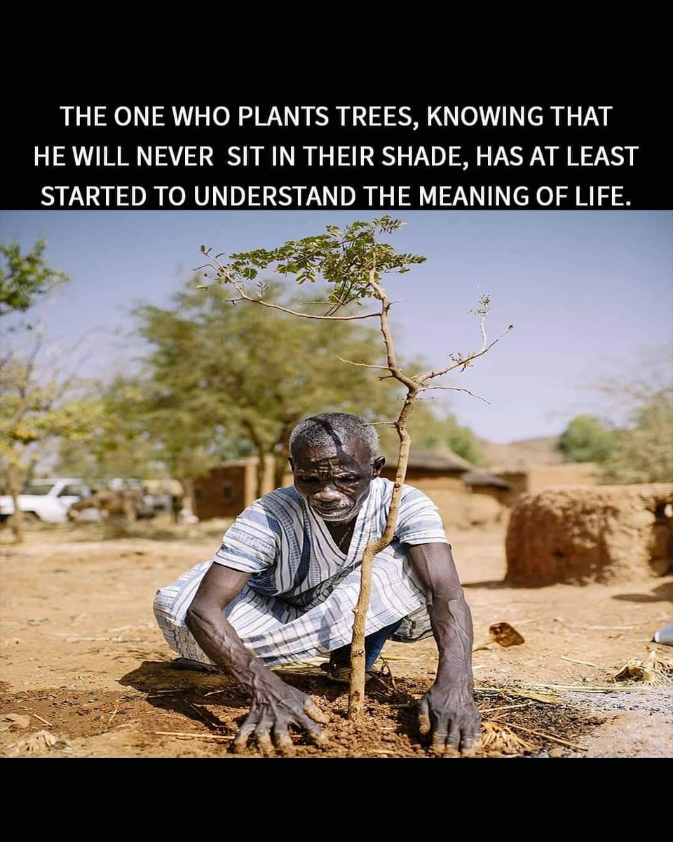 sheldonkumar's tweet image. 