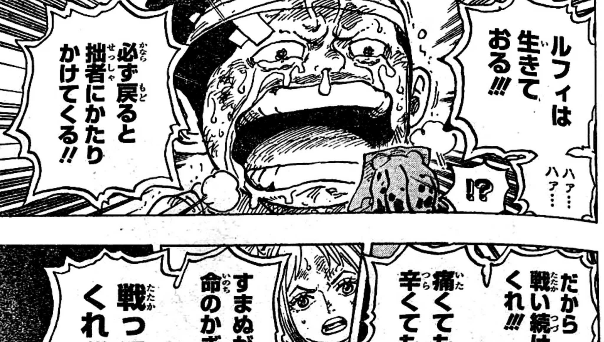 けんちー Twitterren ワンピース1015話が色々ヤバすぎて感情が渋滞してる 画像ネタバレ注意です T Co Smgcxmlkee Twitter