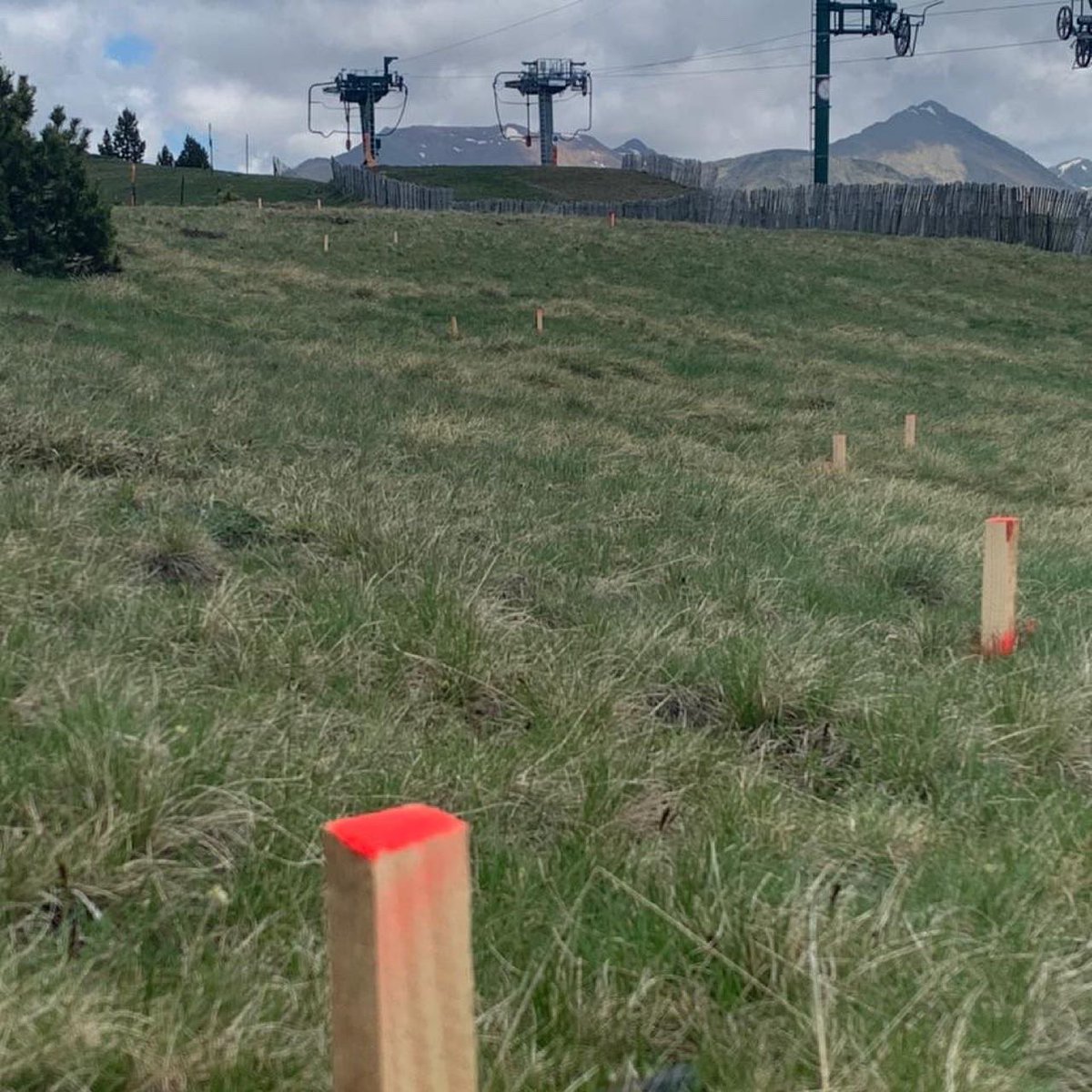 Comencen les obres amb la seva acta de replanteig. El parc solar del planell de la Tosa serà el més gran d'Andorra amb una superfície de 22.000 M2. És col·locaran un total de 5320 unitats de plaques solars. No us perdeu tot el procés💡