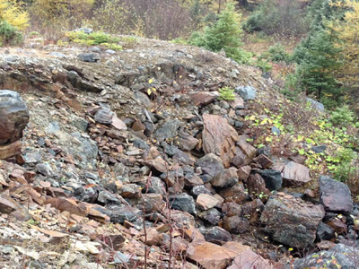SpruceRidgeLtd's tweet image. The updated Mineral Resource Estimate for the Great Burnt Copper Deposit, incorporating the results of @SpruceRidgeLtd 2020 diamond drilling program on the Great Burnt Main Zone, is expected to be completed by late June

$SHL #Copper #DrillingProgram

juniorminingnetwork.com/junior-miner-n…