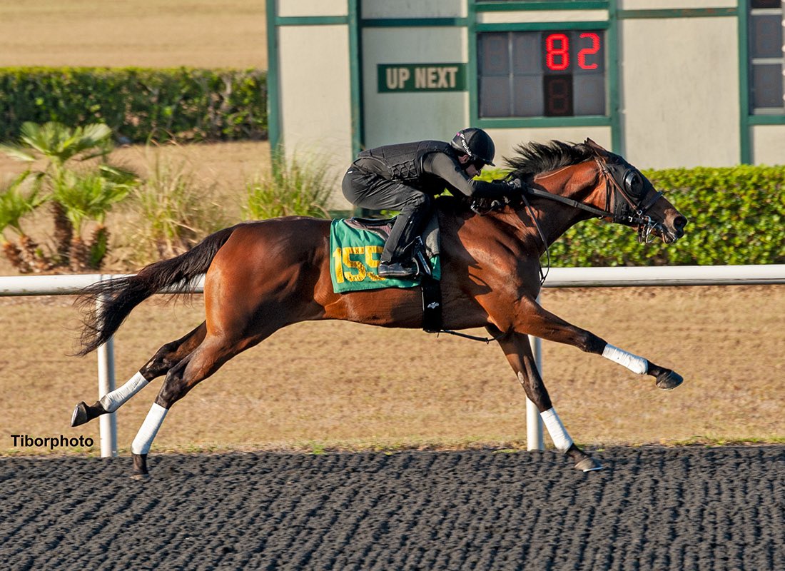 Top Line Sales on Twitter "If you haven’t bought a horse yet by the