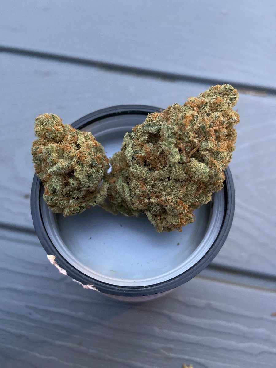 duce_7's tweet photo. Citizen Stash FPOG beautiful buds, nice relaxing high but where’s the nose? 2nd @CitizenStash product I have tried with a dry humidity pack that’s doing way to much work and the lack of scent / taste reflect that. It’s an easy pass for the price vs quality. @ONCannabisStore https://t.co/3oFS5eMNDU