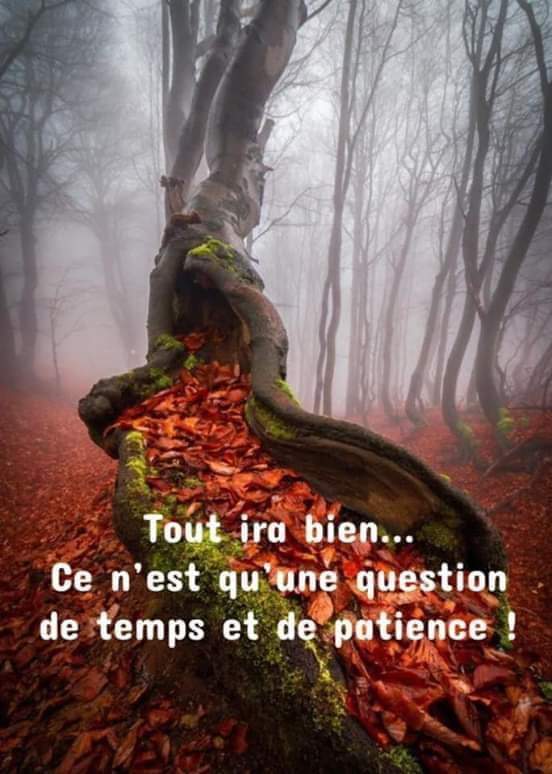 Laguel Zouhir Laguelzouhir Twitter