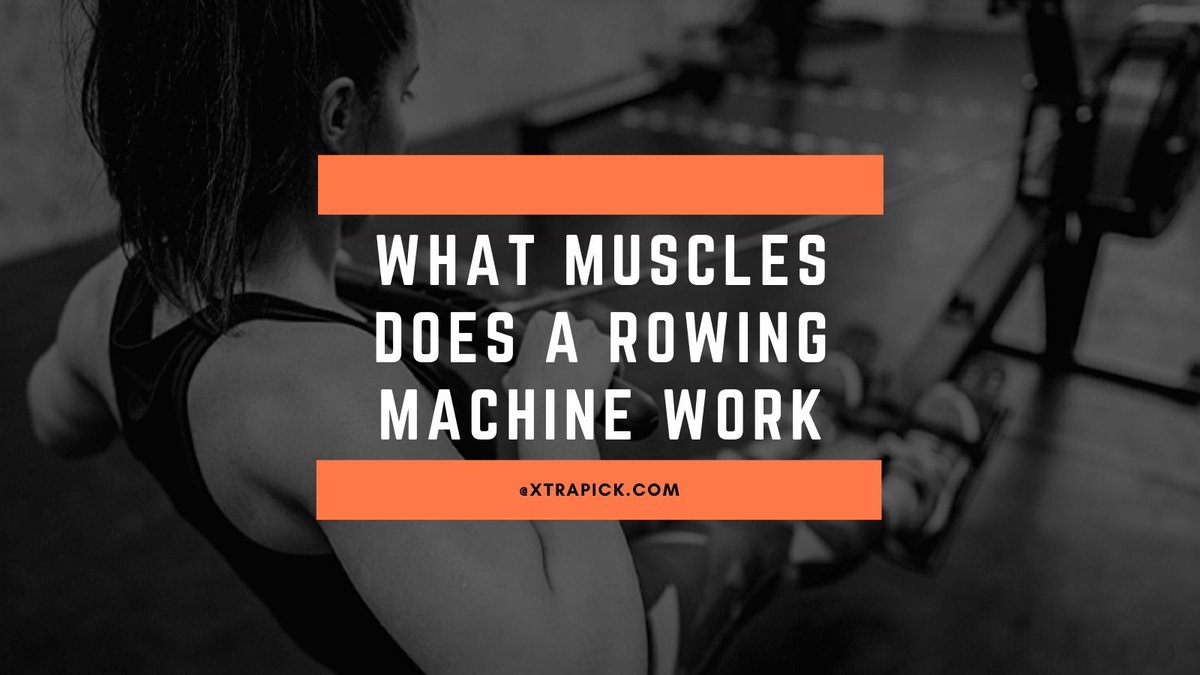 xtrapick's tweet image. If you love rowing machine and want to find out that which muscles rowing machine works mostly then you have to read our article about What Muscles Does a Rowing Machine Work   xtrapick.com/what-muscles-d…     #rower #rowingmachine #whatmusclesdoesrowerworks #fitness