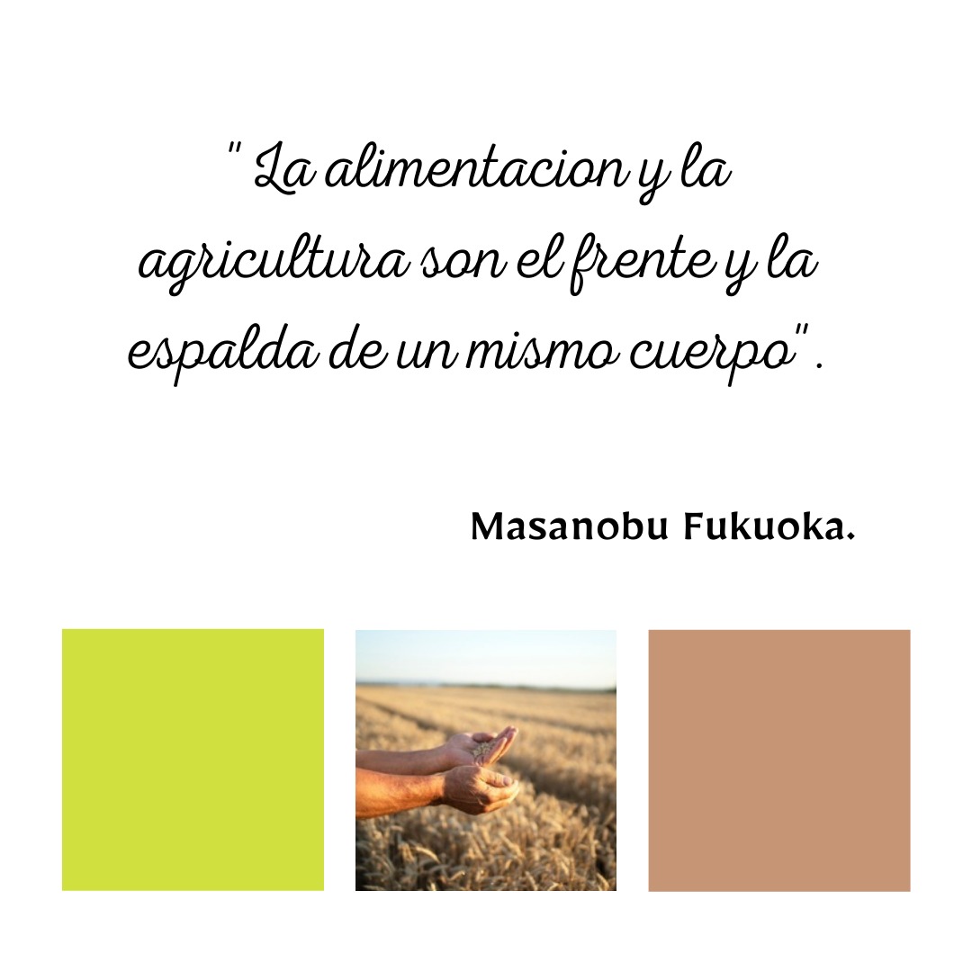 #FraseOrganizagro 💬  #Agricultura

🌾🌱🥔🥦