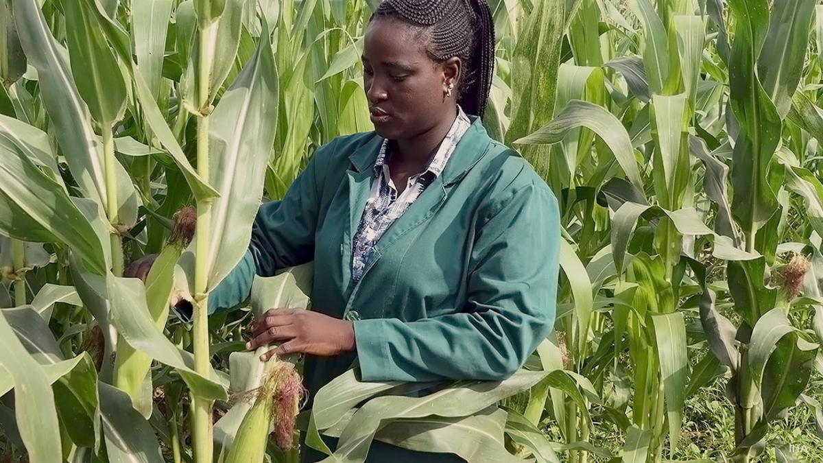 Paper by <a href="/IFPRI/">IFPRI</a>'s <a href="/oluwaniyibayo/">Ogunniyi Isaiah Adebayo</a> &amp; colleagues shows benefits of agricultural co-ops in 🇳🇬 &amp; advocates for policy incentives that encouraging #farmers to form &amp; join these #cooperatives. 👨‍🌾

👉 doi.org/10.1371/journa…

<a href="/KOOlagunju/">Kehinde Oluseyi Olagunju</a>  <a href="/AbiodunOlusol15/">Dr Abiodun Olusola Omotayo</a> <a href="/gatesfoundation/">Gates Foundation</a> #OpenAccess