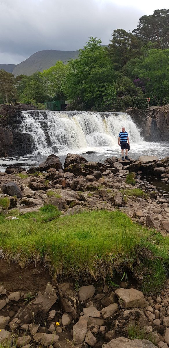 Mike Magan tweet media