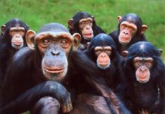 Javirosi🔥 tweet media