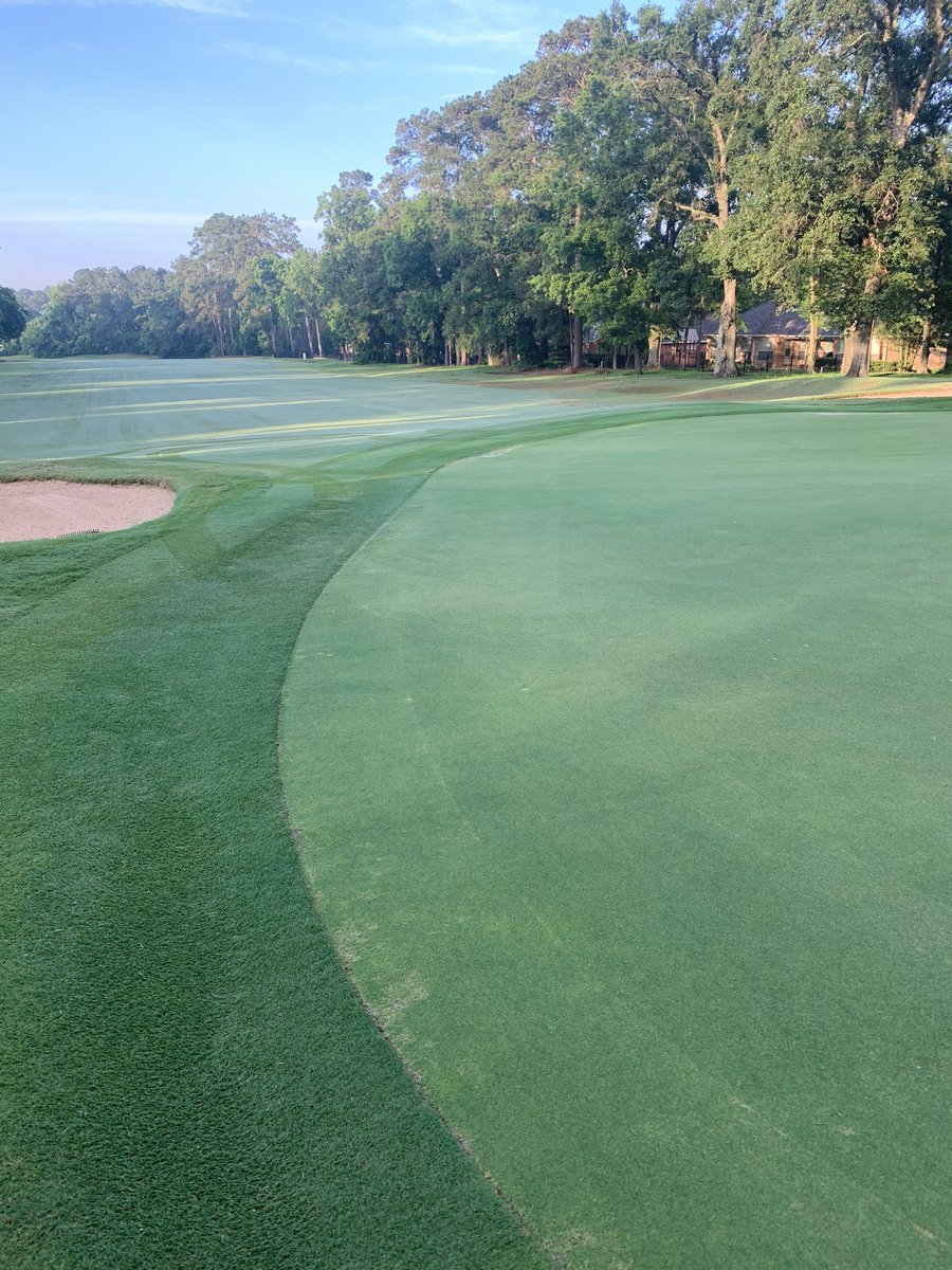 Steve Gilley (@kclgill55) on Twitter photo As someone who battles pythium on regular basis. I have to give a huge shout-out to <a href="/PBIGordonTurf/">PBI-Gordon Turf</a> Segway fungicide. It is a great product to help clear up disease pressure. Pics are 7 days apart. #panoramagc As someone who battles pythium on regular basis. I have to give a huge shout-out to <a href="/PBIGordonTurf/">PBI-Gordon Turf</a> Segway fungicide. It is a great product to help clear up disease pressure. Pics are 7 days apart. #panoramagc
