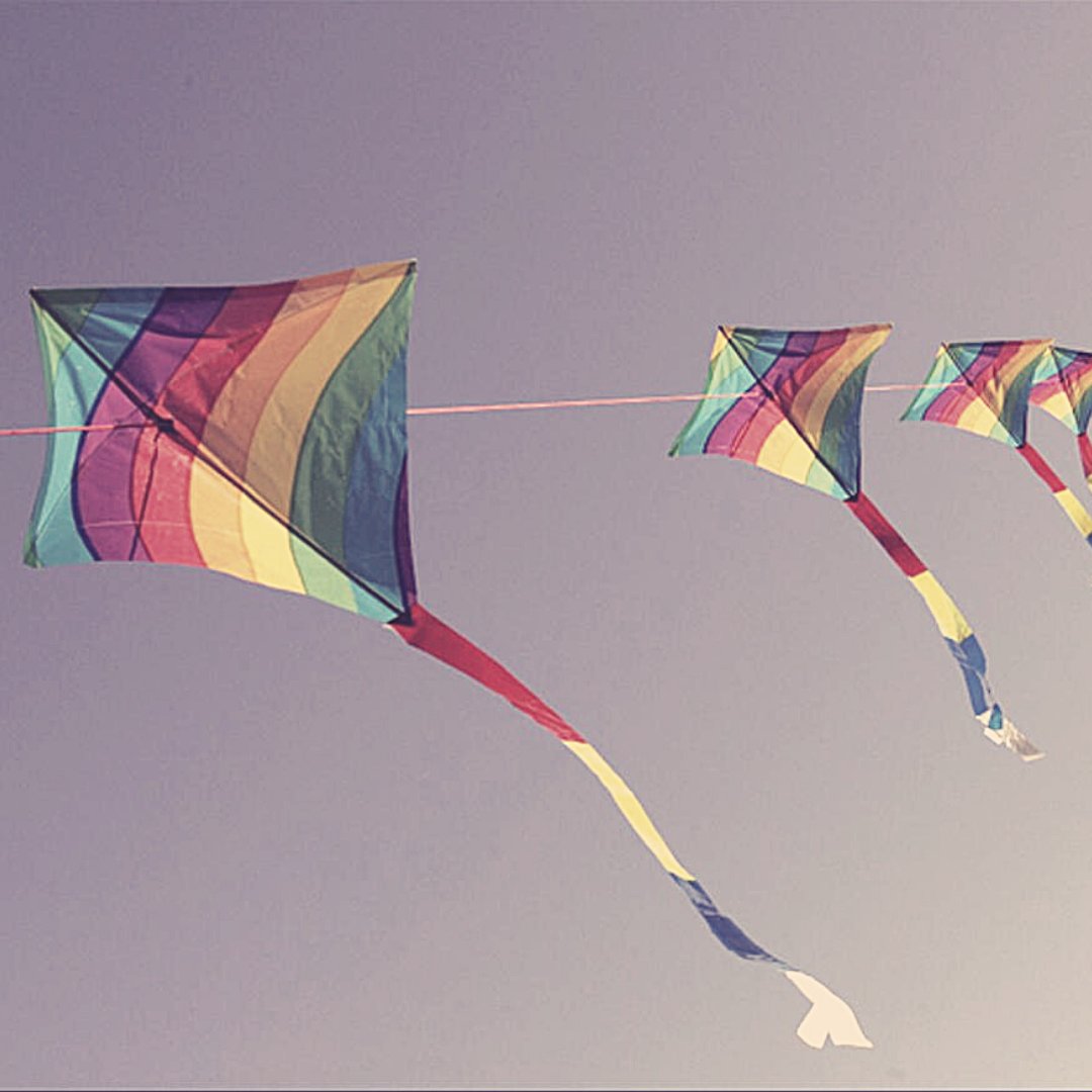 Femmes et dignité tweet media