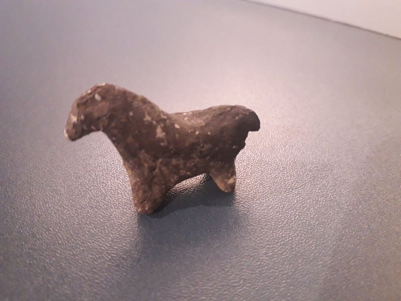 #MuseumWeek2021 #EurekaMW В IV-IIIтис. до н.е. середньо-стогівські племена, які мешкали на території Середнього Подніпров’я, вперше в Європі приручили коня
The Middle stohiv tribes of the Middle Podniprovay have tamed a horse for the first time in Europe in IV-III millennium BC