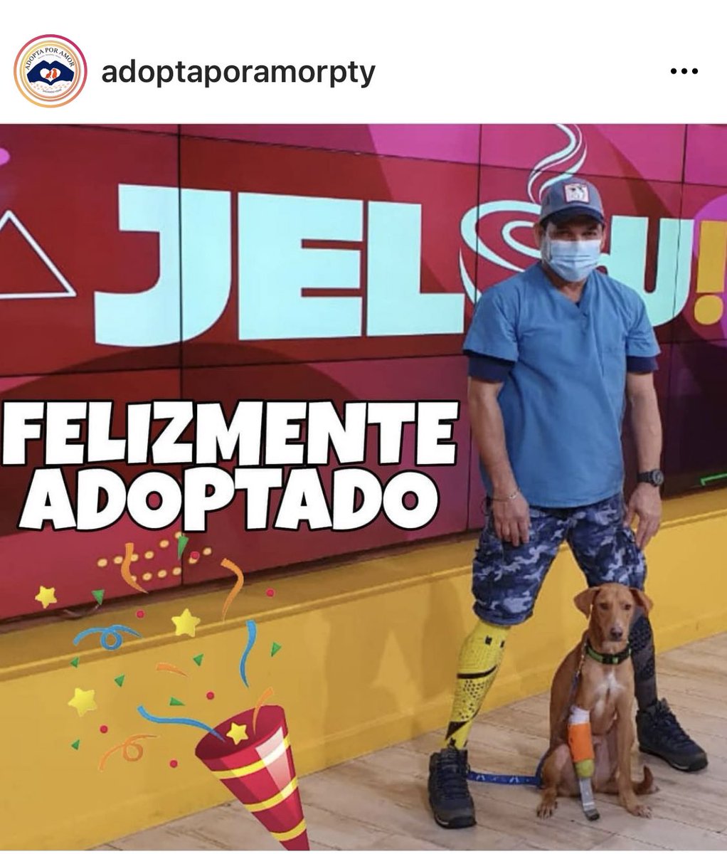 NilaMarino's tweet photo. Estas historias me llenan de amor y esperanza...este perrito rescatado perdió una pata y este ángel en la tierra se ofreció a hacerle una prótesis gratis y luego lo adopto!!!!🎉💗🎉💗🎉💗🎉💗🎉💗🎉💗🎉💗🎉💗🎉💗🎉💗🎉💗🎉💗🎉💗🎉 https://t.co/mfVZ1ePJ8o